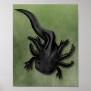 Poster Black Melanoid Axolotl Art