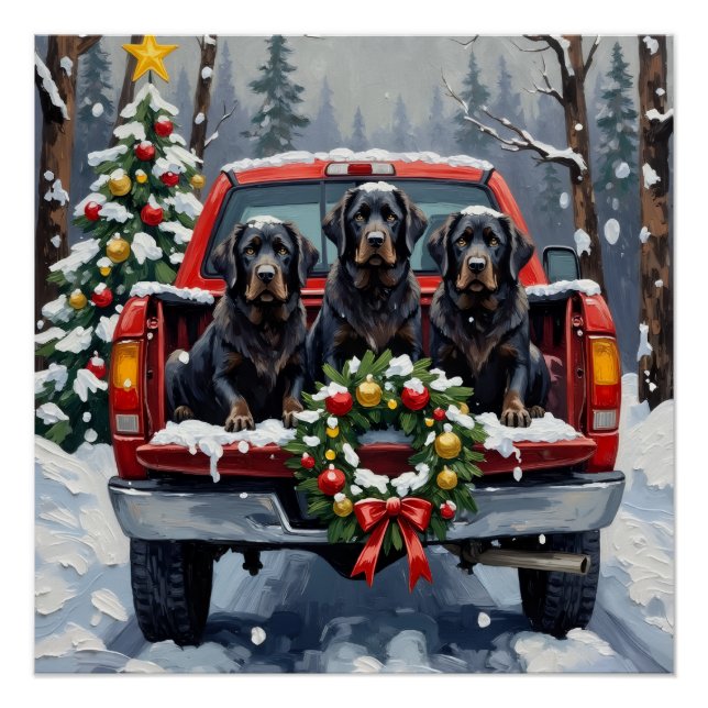 Poster Black Newfoundland Christmas Red Truck Holiday (Devant)