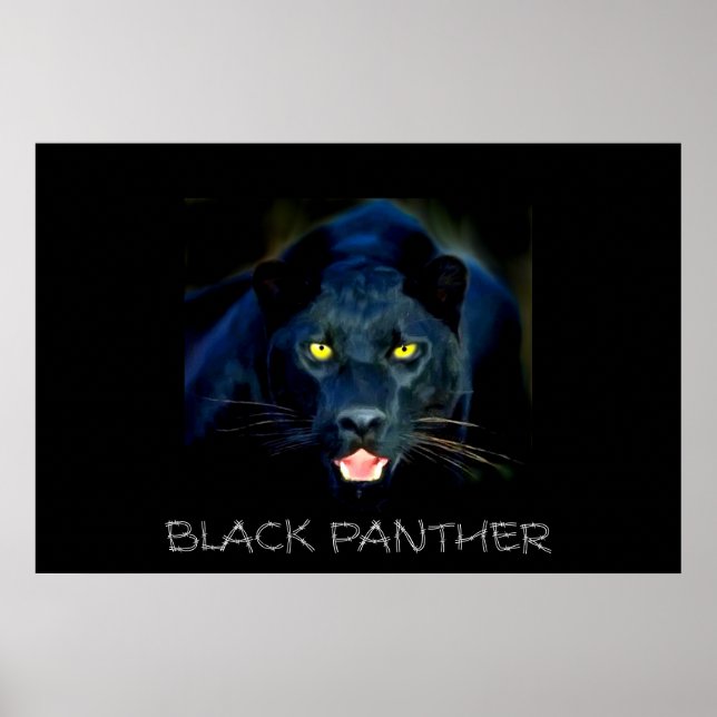 Poster Black Panther (Devant)