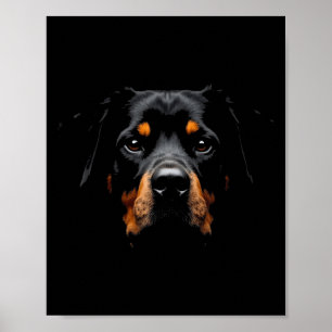 Poster Black Rottweiler Dog Rottie Face