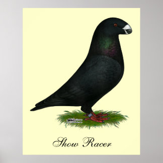 Poster Black Show Racer