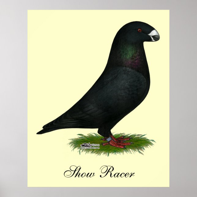 Poster Black Show Racer (Devant)