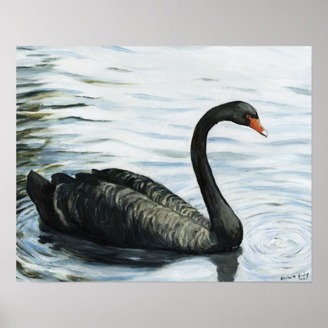 Poster "Black Swan" Oiseau Art Imprimer (Devant)