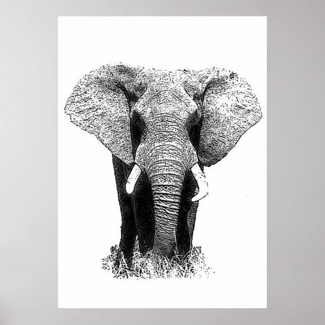 Poster Black & White Asian Elephant Pop Art (Devant)