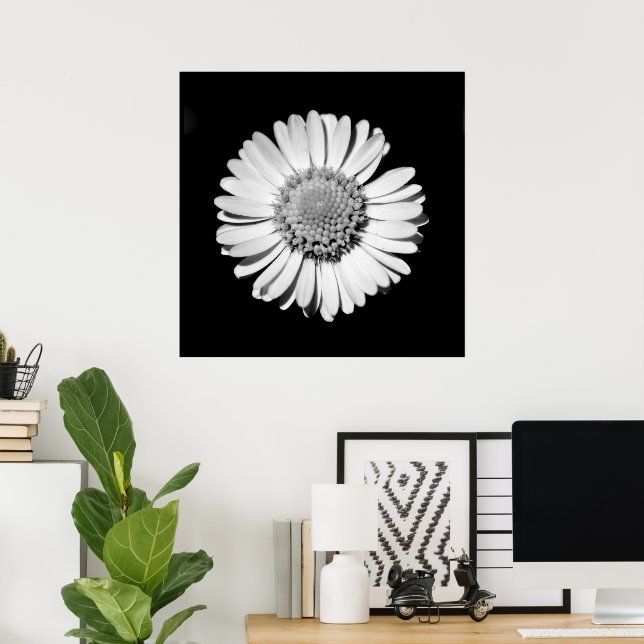 Poster Black White Daisy Floral Art Photographie botaniqu (Bureau à domicile)