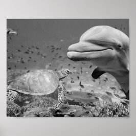 Poster Black White Dolphin Sea Turtle Poisson Art Imprima