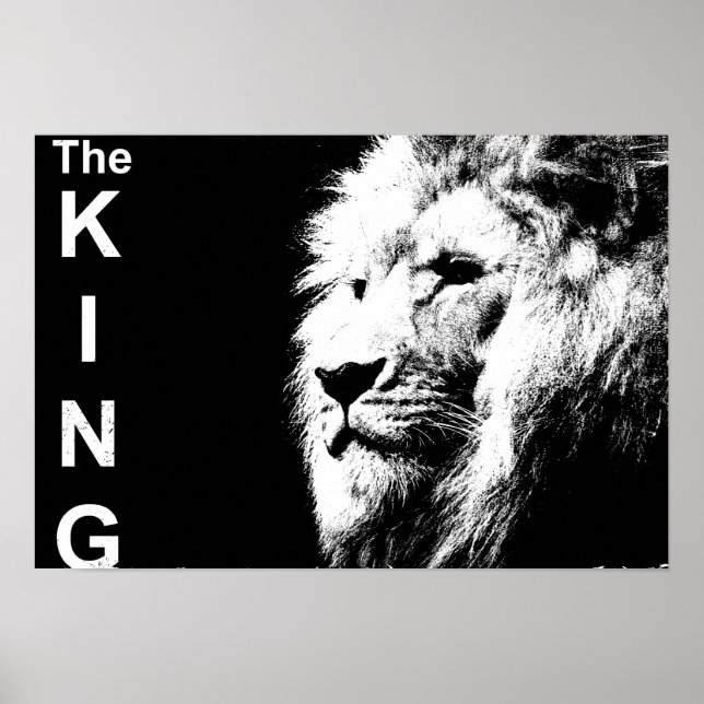 Poster Black White Photo Lion Modèle Nature Animal (Devant)