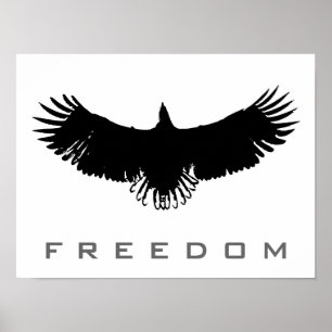 Poster Black White Pop Art Freedom Eagle Landing P