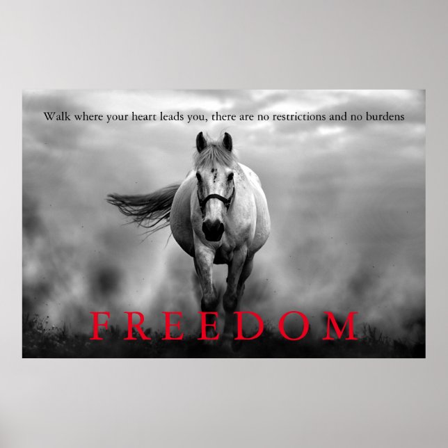 Poster Black White Runse Horse Freedom Inspirationnel (Devant)