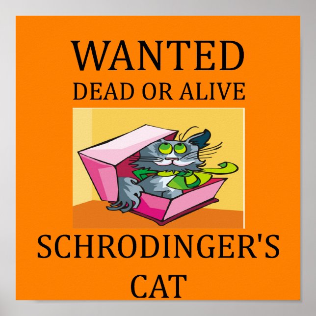 Poster blague de chat de schrodinger (Devant)