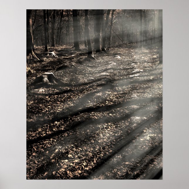 Poster Blair Witch....là-bas ! (Devant)