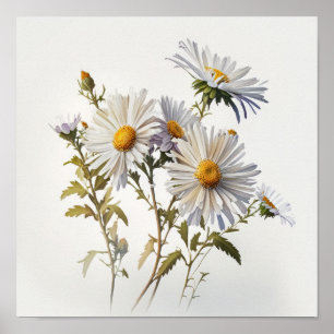 Poster blanc Aster Flower Art