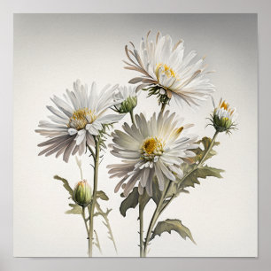 Poster blanc Aster Flower Art