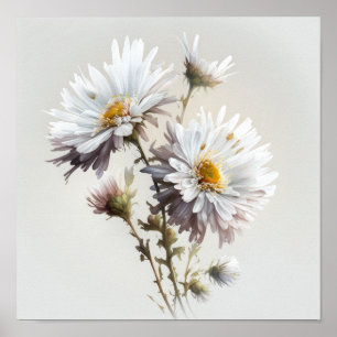 Poster blanc Aster Flower Art
