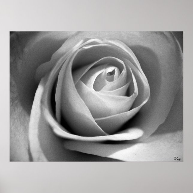 Poster Blanc doux, S Cyr (Devant)