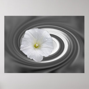 Poster blanc et gris