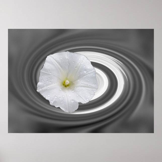 Poster blanc et gris (Devant)