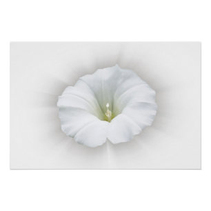 Poster blanc et nuances de gris