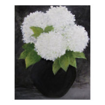 BLANC HYDRANGEAS Imprimer, papier d'affiche de val