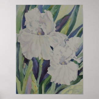 Poster blanc Iris