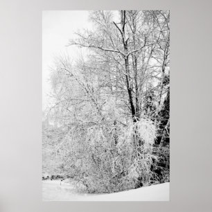Poster Blancs d'hiver