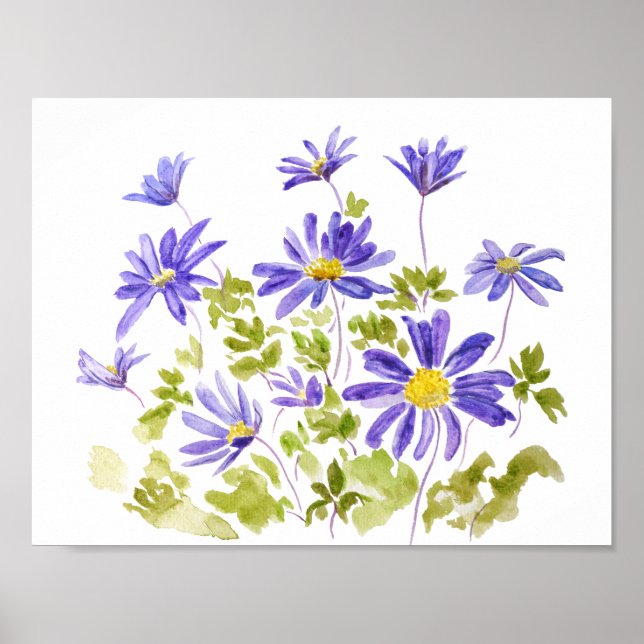 Poster blanda d'anémone violet Aquarelle (Devant)