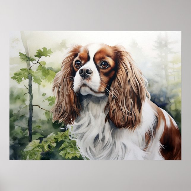 Poster Blenheim Cavalier King Charles Spaniel (Devant)