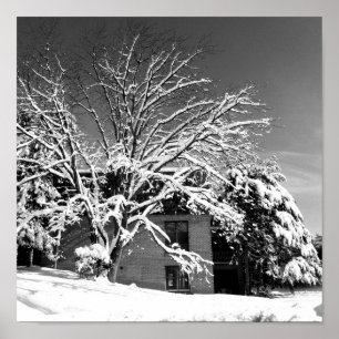 Poster Blessure d'hiver B+W