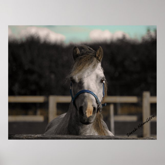 Poster Bleu (Devant)