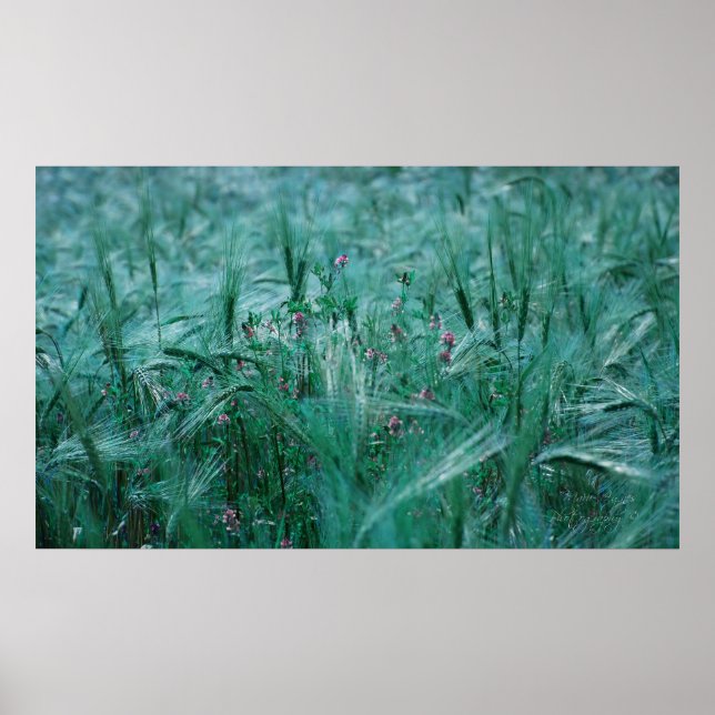Poster Bleu (Devant)