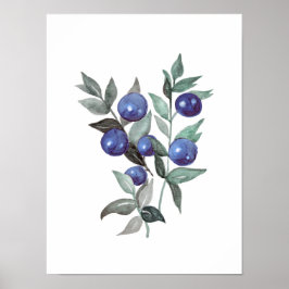 Poster Bleu baies Fruit Aquarelle