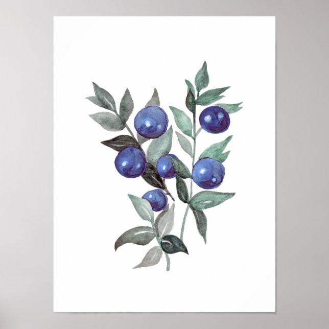 Poster Bleu baies Fruit Aquarelle (Devant)