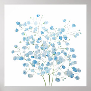 Poster bleu clair Baby Breath Bouquet gypsophila