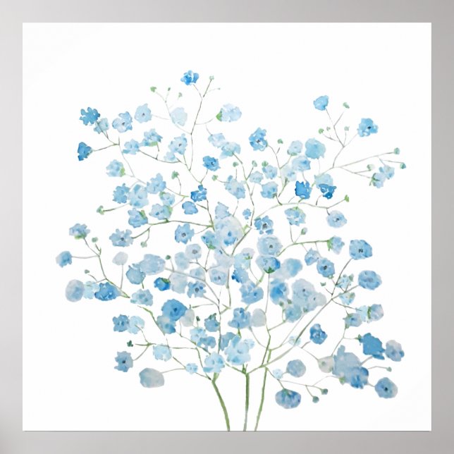 Poster bleu clair Baby Breath Bouquet gypsophila (Devant)