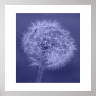 Poster bleu Dandelion/Imprimer