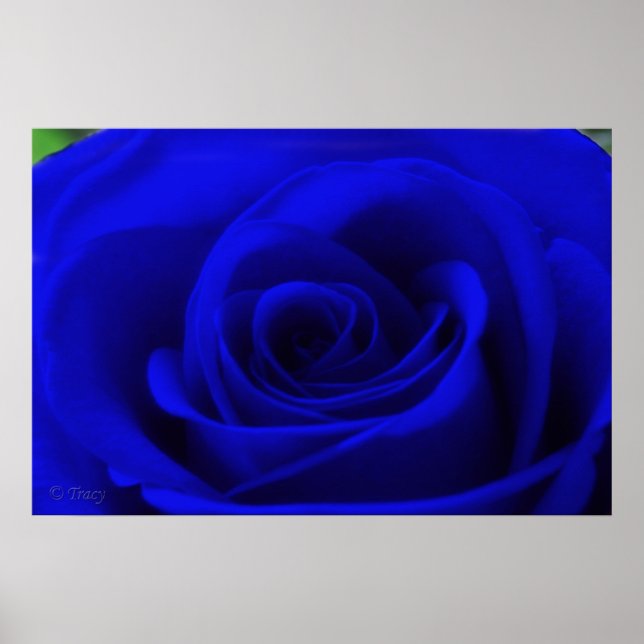 Poster Bleu de minuit (Devant)