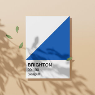 Poster Bleu et blanc de goéland de Brighton - Pleine larg