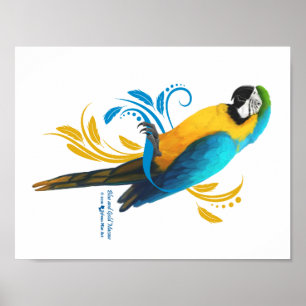 Poster bleu et or Macaw