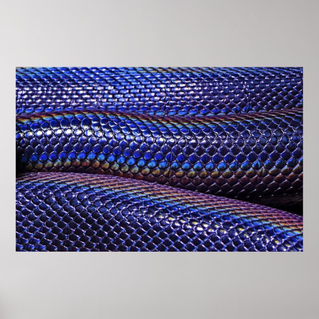 Poster Bleu et pourpre (Devant)