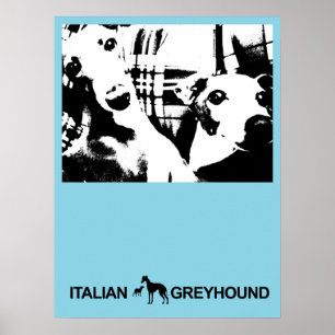 Poster Bleu gris italien