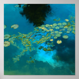 Poster bleu koi