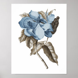 Poster Bleu Magnolia Botanique Décor traditionnel
