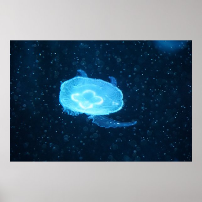 Poster Bleu méduse de natation (Devant)