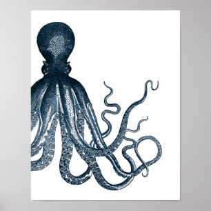 Poster bleu moderne Octopus
