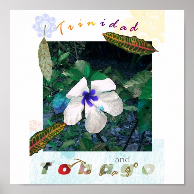 Poster bleu pollen t zazzle (Devant)