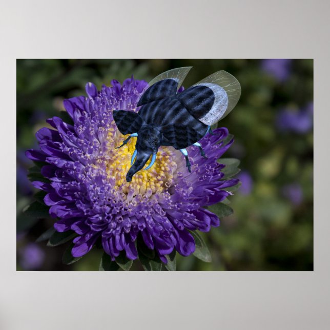 Poster Bleu Rare Elephant Bug (Devant)