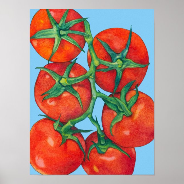Poster bleu tomates rouges (Devant)