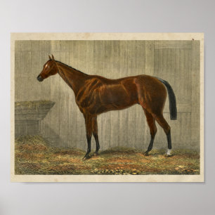 Poster Bleu vintage Cown de l'impression 1873 de cheval