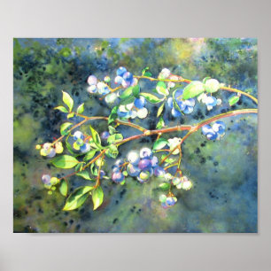 Poster Bleuets, fruit romantique Peinture d'aquarelle