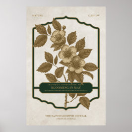 POSTER BLOCAGE MENSUEL - MAI FLEURS DE NAISSANCE CADEAU P